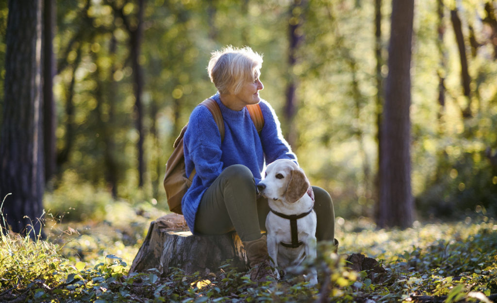 Nainen rentoutuu metsässä kannonnokassa istuskellen koira seuranaan.
